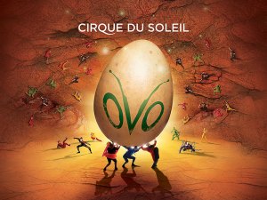 "Ovo," Copyright Cirque du Soleil 2011